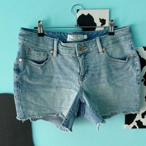 Torrid Shorts